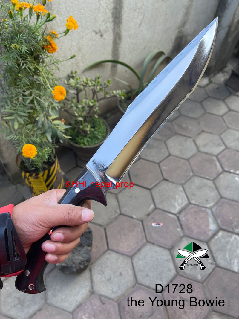 D1728-the-Young-Bowie