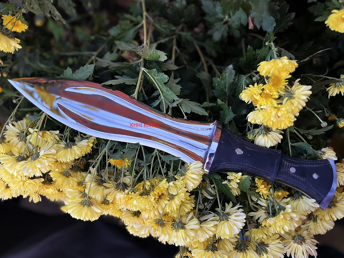 WarLord fighting Smachet